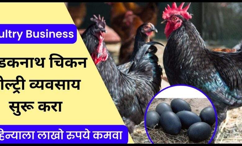 Kadaknath-Poultry-Business