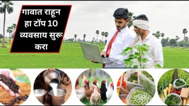 10 Agriculture Business Ideas