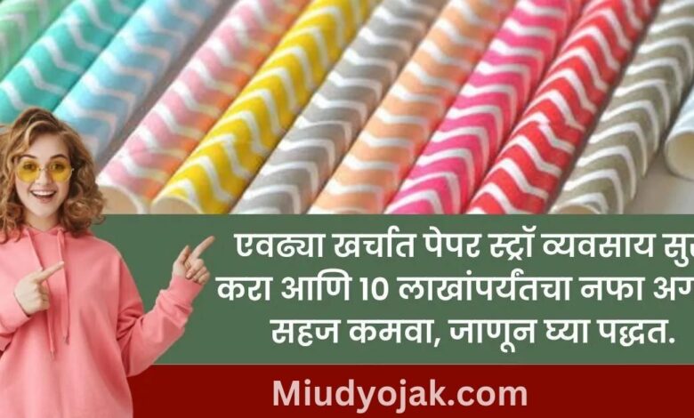Paper Straw Business Idea