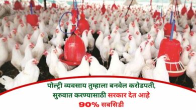 Poultry Farm Business Ideas
