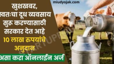 Dairy Farming Loan 2023
