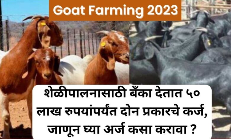 Goat Farming Loan By Government