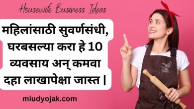 Housewife Business Ideas