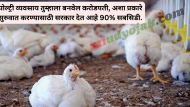 Poultry Farm Business Idea