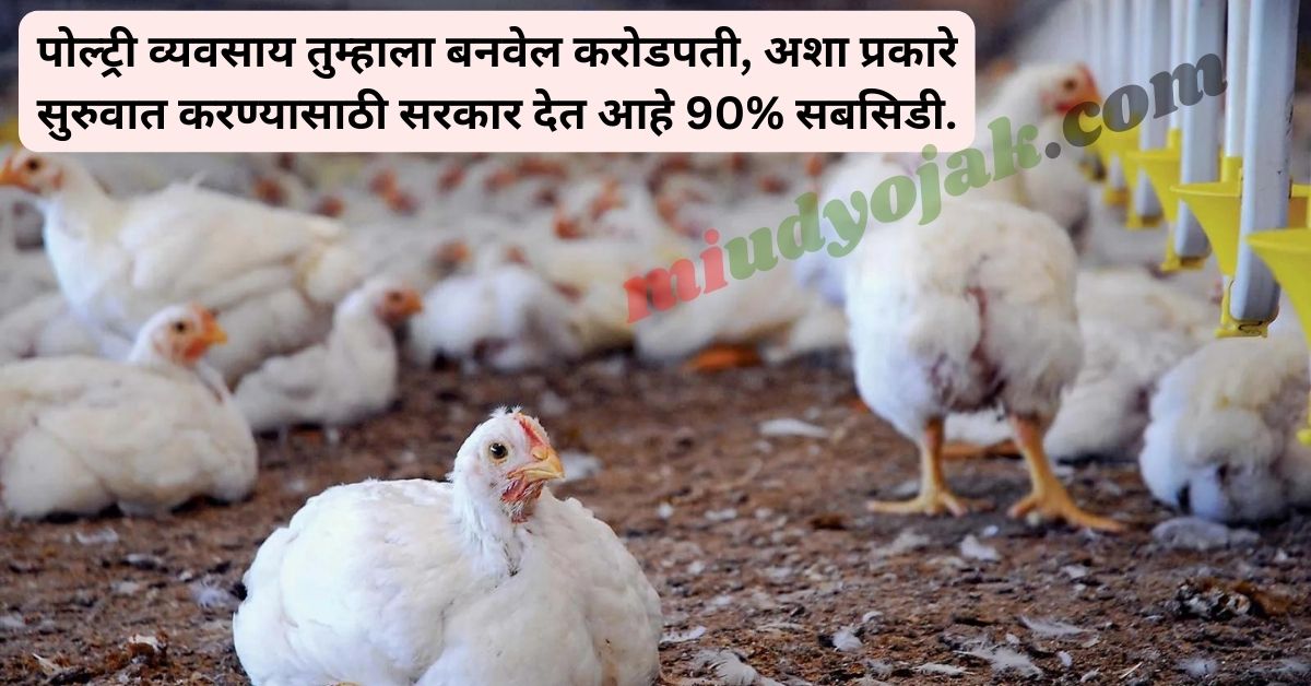Poultry Farm Business Idea