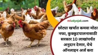 Poultry Farming Loan 2023