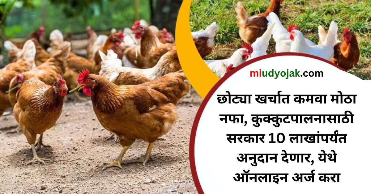Poultry Farming Loan 2023