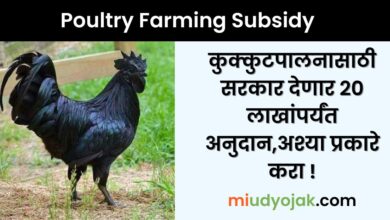 Poultry Farming Subsidy