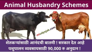 Animal Husbandry Schemes