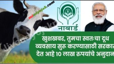 Dairy Farming loan 2024