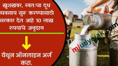 Dairy Farming Subsidy Apply