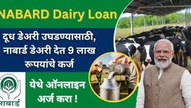 NABARD Dairy Loan