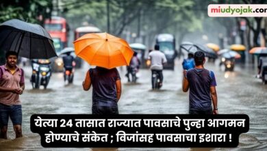 Maharashtra Monsoon Rain