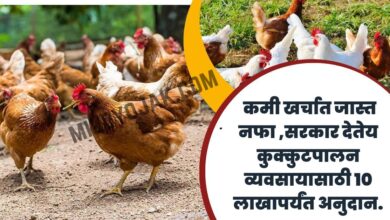 Poultry Farm Loan