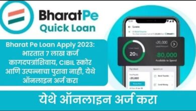 Bharat Pe Loan
